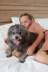 Little girl hugging cute dog when napping in bed
