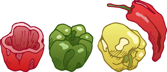 A set of illustrations of pepper with a stroke. Sweet pepper and chili, red, yellow, green, eps ready to use. For your design