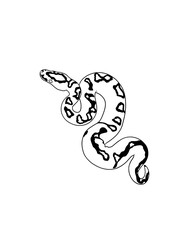 Snake