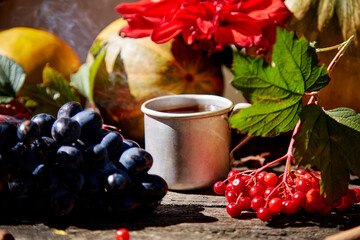 Natural cozy still life with mug of tea, grapes and viburnum in rustic style. Autumn aesthetic concept, red georgine. Cozy home with warm tea. Thanksgiving Day concept.