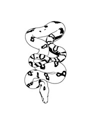 Snake