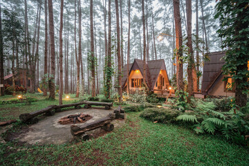 Pinewood cabin in pine forest green on nature trail. Wooden house or wooden hut along the Pinewood...