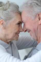 Portrait of smile senior couple