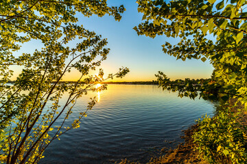 A beautiful sunset behind green leaves at a lake in summer