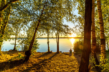 A beautiful sunset behind green leaves at a lake in summer