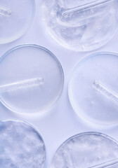 glass pipette serum gel closeup in petri dish on a light background