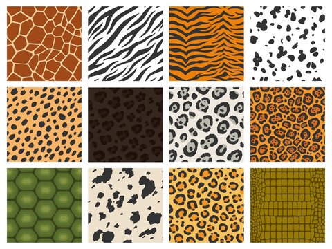 Animal print. Reptile and mammal texture collection, tiger leopard zebra skin camouflage printing, animal fur pattern. Vector seamless fashion set