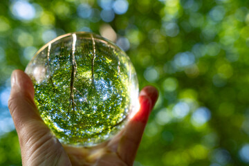 Nature inside a glass bowl with nature outside. Photo to show how to take care of the nature in the...