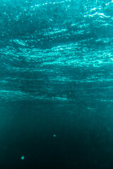 underwater atlantic ocean barbados