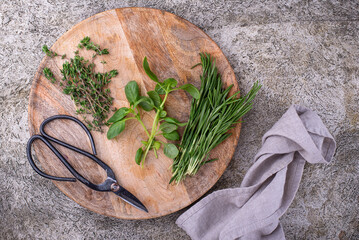 Rosemary, thyme and basil. Fresh garden herbs