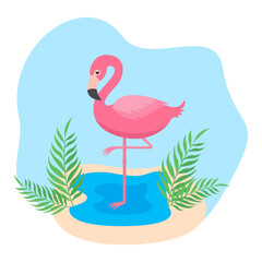 This is a pink flamingo bird on the beach.