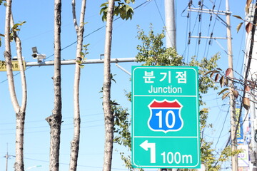 나무 옆의 분기점