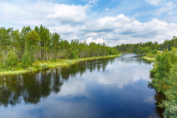 River flowing through a beautiful forest landscape