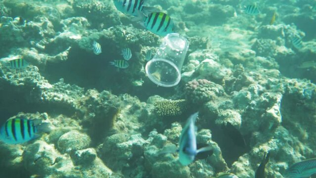 plastic cup in blue water, ocean plastic pollution, underwater video. disposable plastic garbage, environmental pollution problem. use of single-use plastics
