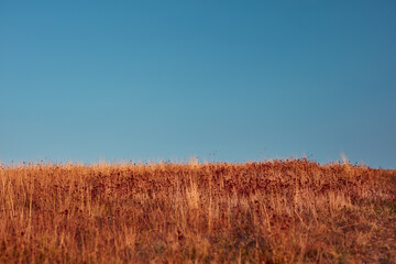 Obraz premium View of countryside hilly landscape in autumn colors.