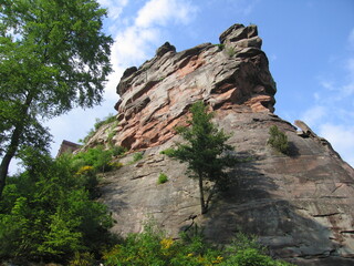 Fels an der Burg Trifels im Pfälzerwald