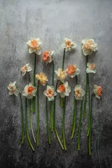 Wandaufkleber Bunch of Daffodils or Narcis © Yuliia Pashentseva