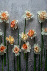 Foto op Canvas Bunch of Daffodils or Narcis © Yuliia Pashentseva