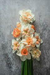 Bunch of Daffodils or Narcis