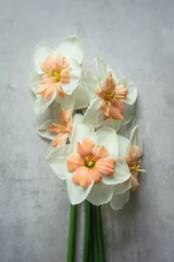 Foto op Canvas Bunch of Daffodils or Narcis © Yuliia Pashentseva