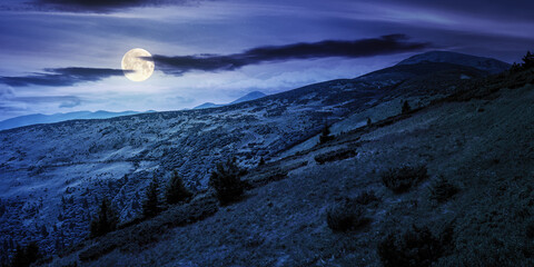 hills of the petros mountain in summer at night. wonderful nature scenery of carpathians in full moon light