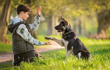 a boy with a dog walks in the park on a sunny spring evening, sits on the grass, the dog obeys the order give a paw. Friendship of man and animal, healthy lifestyle.