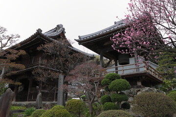 正龍寺　仁王門　鐘楼　埼玉県　寄居町