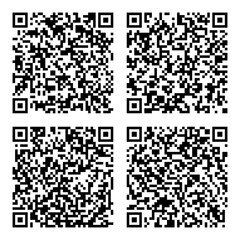 Vector QR code