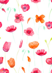 Vector hand painted with watercolor brush seamless pattern with red and orange poppies illustration isolated on white background - 516545735