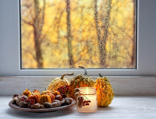 Pumpkins, autumn decor and candle lantern on window sill. rainy window abstract background. autumn...