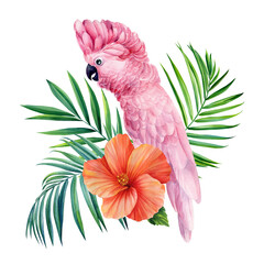Tropical palm leaves, hibiscus flower and pink cockatoo parrot, isolated white background, jungle watercolor painting