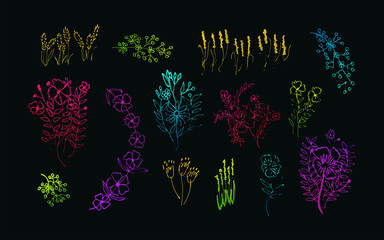 Set of Colorful Hand Drawn Flower Illustrations. Flowers and Leaves Illustration for Poster, Wedding, Greeting Card and Invitation Design. Nature Elements Vector