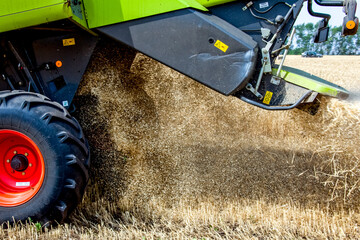 Grain harvesters working in wheat and rye field. Agriculture background. Harvest season