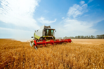 Fototapeta na wymiar Combine harvester harvests wheat in the field. Agriculture background. Harvest season