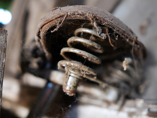 the seat spring of an old bicycle
