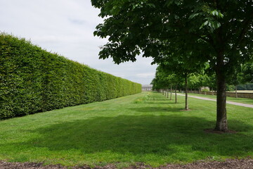 Park mit großer Hecke, Rasen und Bäumen