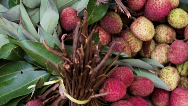 fresh organic bunch of litchi from farm close up from different angle