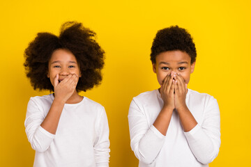 Photo of two positive excited siblings hand cover mouth laugh tease isolated on yellow color...