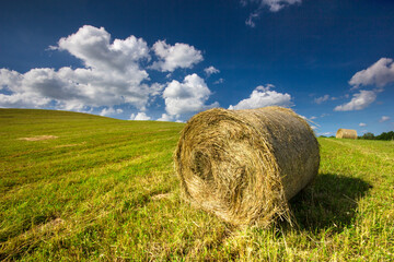 hay bales on a field