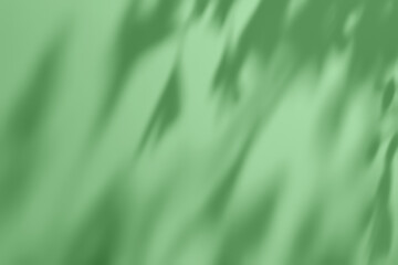 Shadow of leaves on solid pastel green concrete wall texture. Abstract trendy colored nature concept background. Copy space for text overlay, poster mockup flat lay 