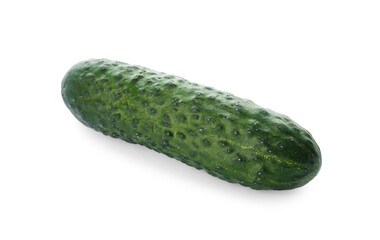 Fresh ripe green cucumber isolated on white