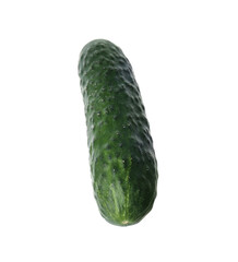 Fresh ripe green cucumber isolated on white