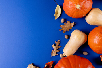 Composition of pumpkins with acorns and autumn leaves on blue background