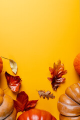 Composition of pumpkins with autumn leaves on orange background