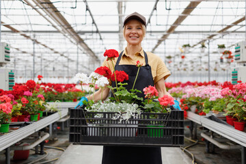 Pretty woman holding a box full of flowers in the greenhouse