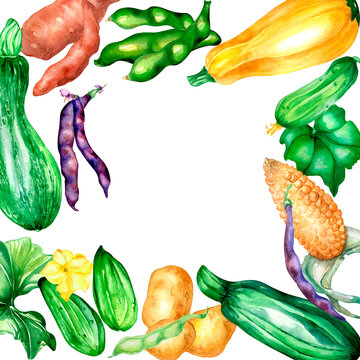 Variety of vegetables frame watercolor illustration isolated.