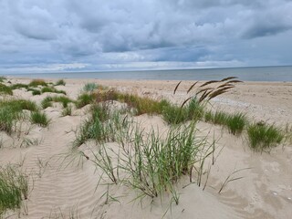 sand dunes and beach
