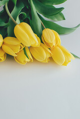 Bouquet of yellow tulip flowers on a white background with copyspace.