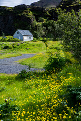 Picturesque landscape with green nature in Iceland during summer. Image with a very quiet and innocent nature.