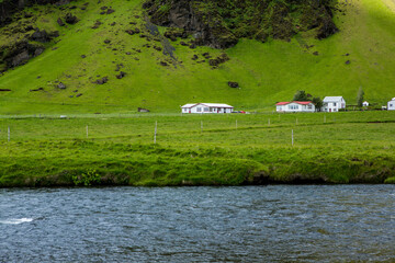 Fototapeta na wymiar Picturesque landscape with green nature in Iceland during summer. Image with a very quiet and innocent nature.
